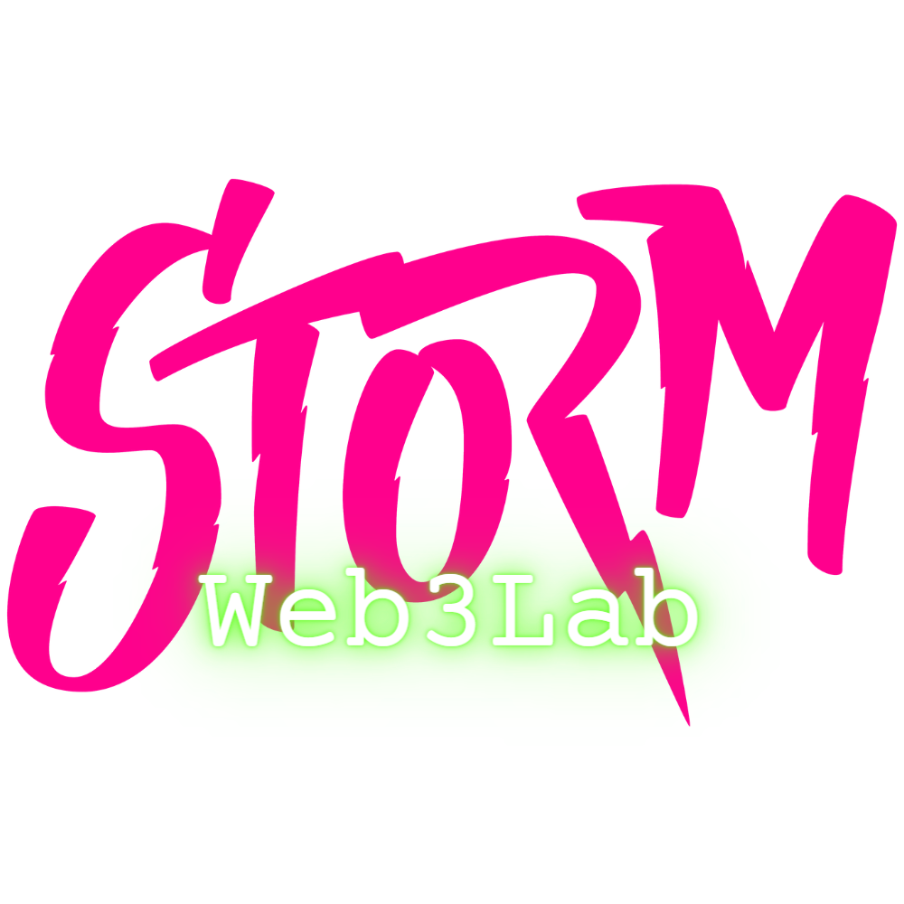 Storm web 3 Lab Services